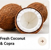 Fresh Coconut & Copra