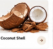 Coconut Shell