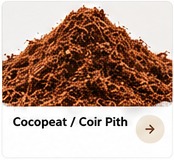 Cocopeat and coir pith from India